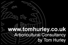 Tom Hurley Arboricultural Consultancy Logo