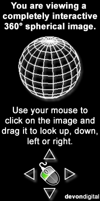 Use your mouse to click on the 360 image and drag it up, down, left or right.